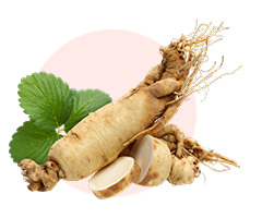 Berberine & Red Ginseng